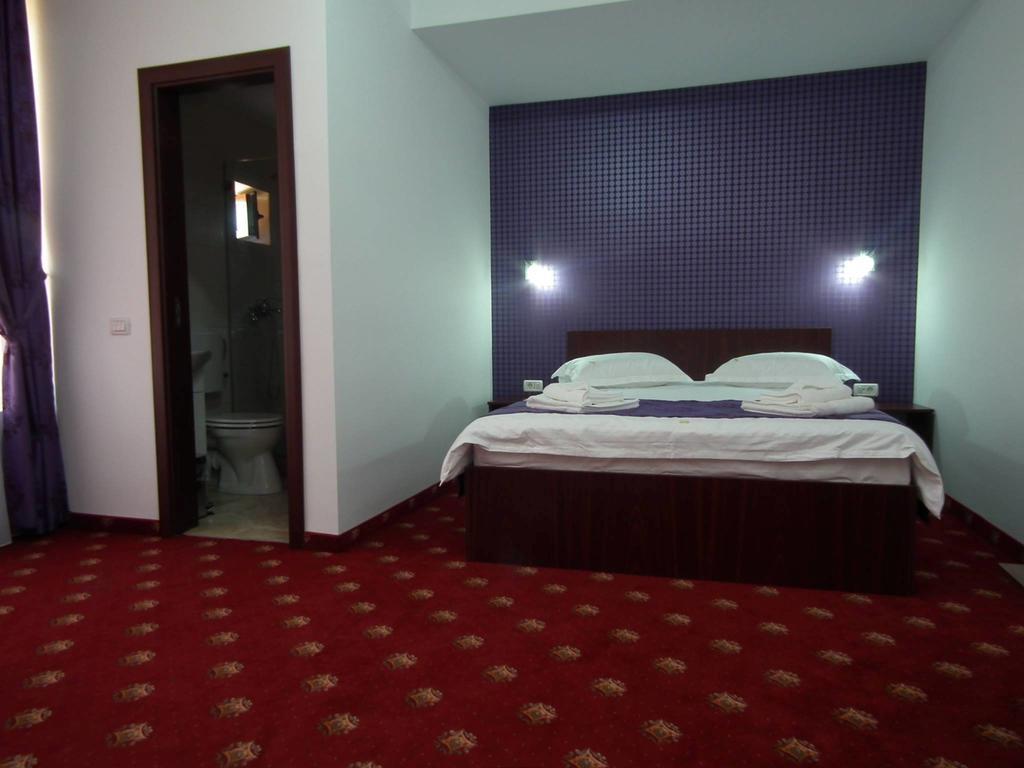 Vila Queen Mary コンスタンツァ 部屋 写真